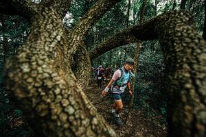 BIB: 
                            <button type="button" onclick="openModal(25393175)" class="btn btn-primary btn-sm float-right btn-popup" data-toggle="modal" data-target=".modal-high-quality">
                        <i class="fas fa-shopping-cart"></i> Add to Cart
                    </button>
                                            <button type="button" onclick="isThisMe(25393175, true)" class="btn btn-success btn-sm float-right btn-popup btn-isme hidden" data-toggle="tooltip" data-placement="bottom" title="นี่คือรูปของคุณใช่ไหม คลิกที่นี่เพื่อเอาเข้าอัลบั้ม">
                        <i class="fas fa-plus"></i> Add to album
                    </button>
                    <button type="button" onclick="isThisMe(25393175, false)" class="btn btn-warning btn-sm float-right btn-popup btn-isnotme hidden">
                        <i class="fas fa-ban"></i> Remove from album
                    </button>